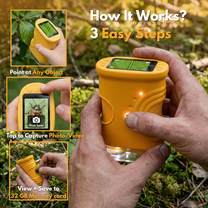 4K Discovery Microscope